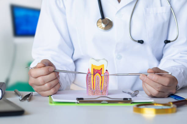 Best Emergency Care for Gum Disease in Taylor Lake Village, TX